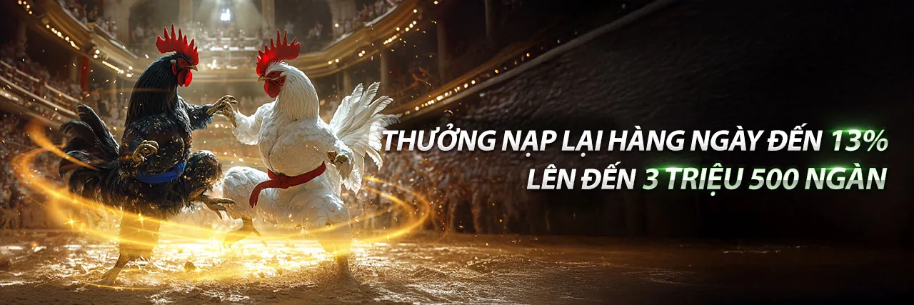 Đá Gà Trực Tuyến pg666 nhà cái